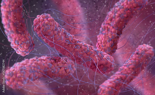 Medical background, bacteria facultative anaerobes, Salmonella, enterobacteria, rod-shaped, flagella over the entire surface, causative agent of salmonella infection, pathogen, 3D rendering