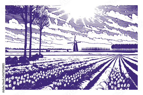 Tulip Valley with Dutch landscape, monochrome retro style. Vector illustration with tulip fields and a landscape with a windmill on the background.