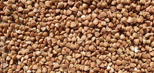 Buckwheat close-up. Buckwheat on burlap. Buckwheat grains isolated. Buckwheat texture. Healthy food, diet.