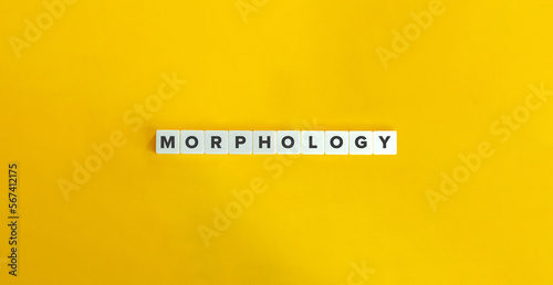 Morphology Word on Letter Tiles on Yellow Background. Minimal Aesthetics.