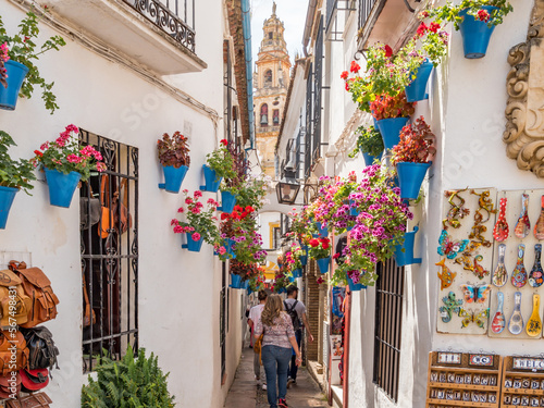 Calleja de las flores, a popular narrow street of Cordoba, Spain during the traditional flower festival of the Patios