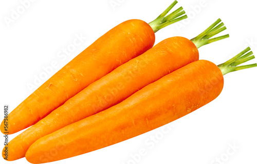 Carrot on white background, Fresh Carrot Isolaet on white with clipping path.