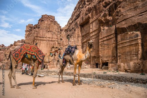 stojące dwa wielbłądy przy starożytnych budowlach