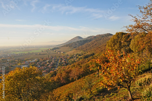 Franciacorta al Montorfano di Rovato al tramonto (Brescia) 