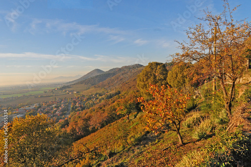 Franciacorta al Montorfano di Rovato al tramonto (Brescia) 