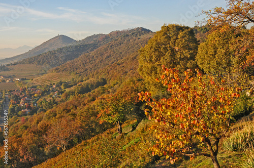 Franciacorta al Montorfano di Rovato al tramonto (Brescia) 