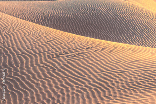 Empty Quarter Desert