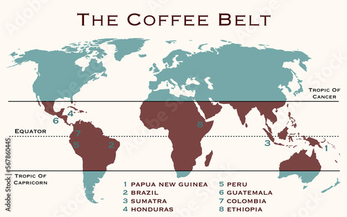 The area of the world, known as coffee belt, which includes the major coffee producing countries