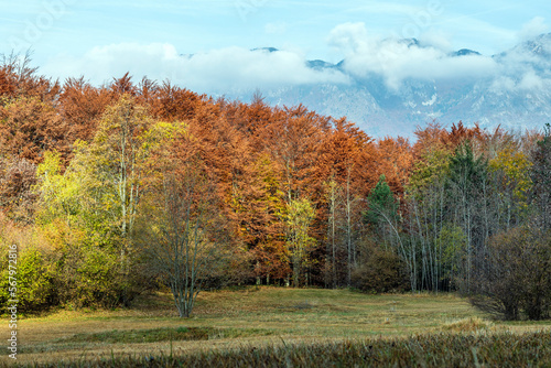 mountain landscape in autumn with warm colors and falling leaves.