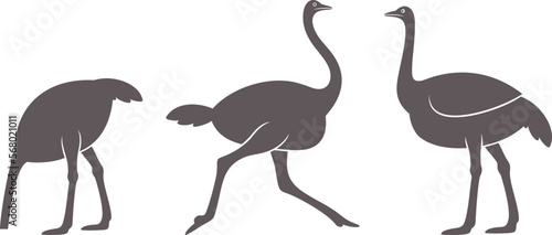 Ostrich logo. Isolated ostrich on white background