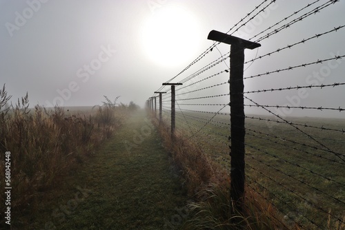 Remainder of the Iron Curtain in the border of Czech republic and Austria in morning fog