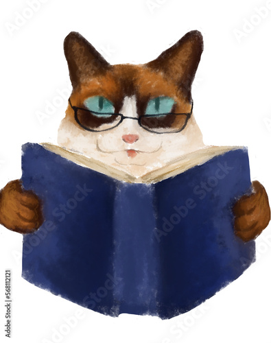 Ilustraci√≥n de gato estudiando, con lentes, sin fondo e imagen completa