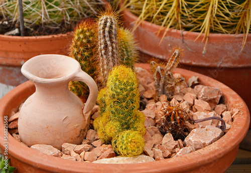 ogródek żwirowy w doniczce, meksykańskie kaktusy w doniczce, mimi skalniak w doniczce, cactus plant in a pot, garden in a pot with cactus, Cacti Planted In The Pots