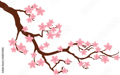 pink cherry blossom