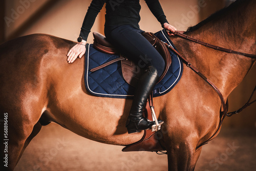 Stylish Equestrian Rider on a Horse in Luxury Brown Leather Equipment