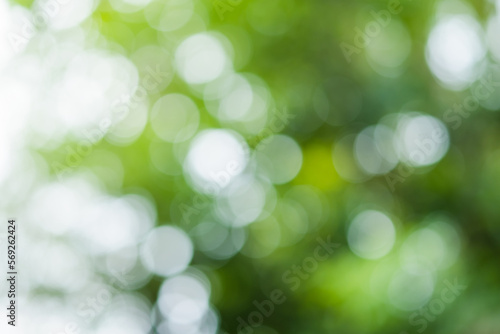 green bokeh background , green bokeh , green bokeh abstract 