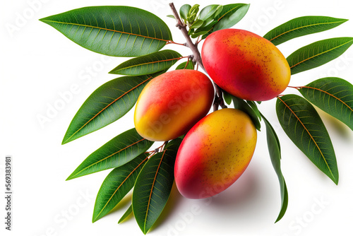 Summertime red ripe mango fruit and foliage against a white background. Generative AI