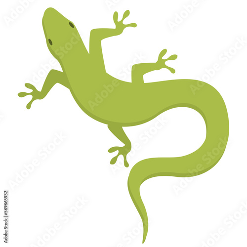 illustration of a green lizard with a long tail on white background