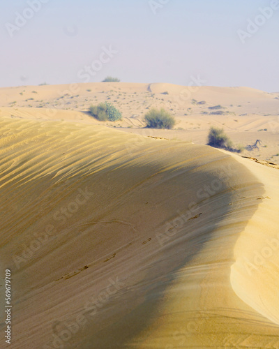 sand dunes in the desert of Dubai