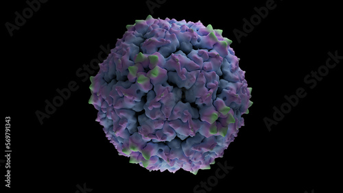 Coxsackievirus A6 structure, hand foot and mouth disease virus. HFMD 3d rendering medical illustration. Black background isolated CVA6 particle.