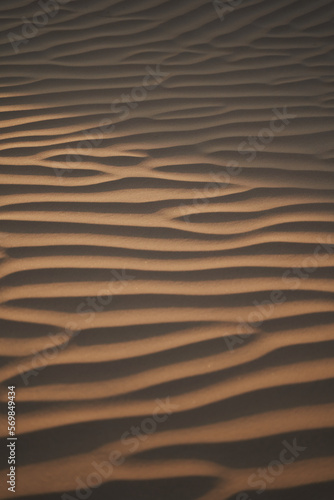 Vertical shot with sand pattern and sunlight.