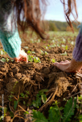 Earth day. Farmer hands touching a harvest in the fertile ground.