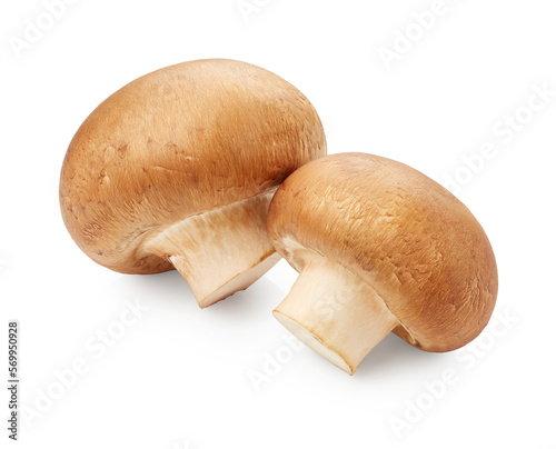 Champignon mushrooms isolated on white background