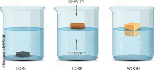 Archimedes Principle Density and Buoyancy