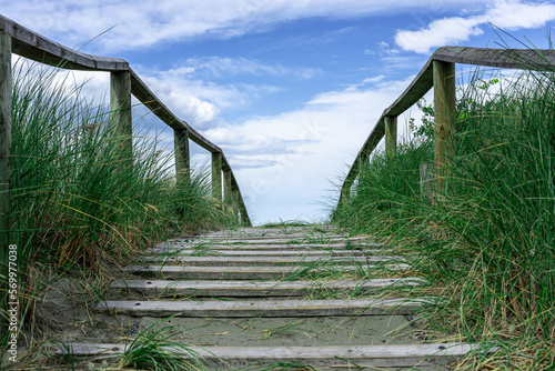 Passage over a sand dune. Wooden path towards the sea. A windy day at the beach in Christchurch November, 2022. 