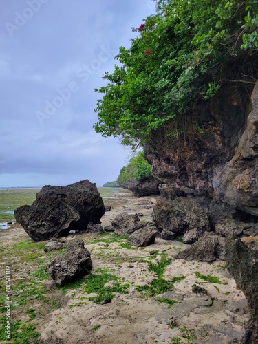 Rocky Shore at Low Tide - Siquijor Island, Philippines