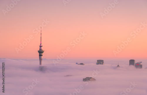Auckland Fog