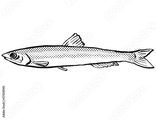 European anchovy or Engraulis encrasicolus Fish Germany Europe Cartoon Drawing Halftone Black and White