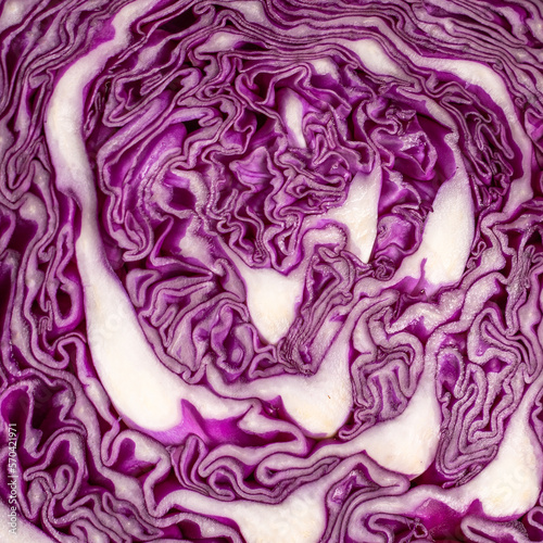 Macro close up Texture cavolo viola radicchio insalata