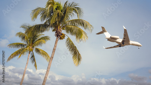 private jet arrives above palm trees