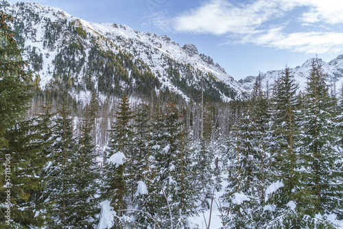 Zima w Tatrach, Widok na Dolinę Rybiego Potoku, z drogi do Morskiego Oka, ośnieżone drzewa 