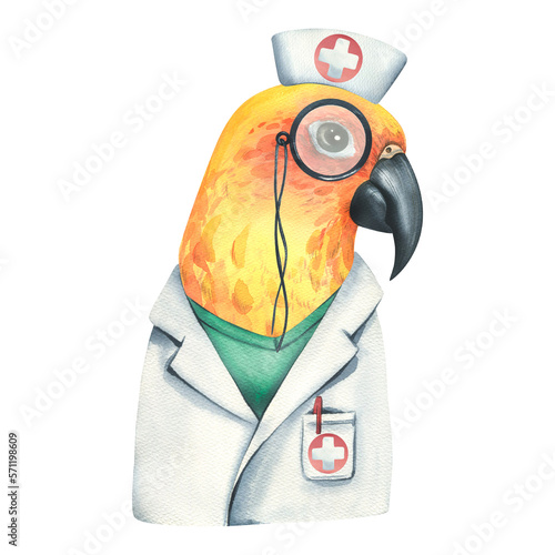 Yellow parrot is a doctor, in a medical gown and a cap with pince-nez. Watercolor illustration. Isolated object on a white background from the VETERINARY collection. For the design