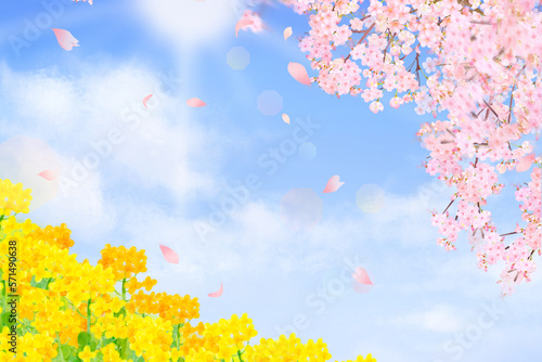 菜の花と太陽＿青空に美しく華やかな花びら舞い散る春の桜フレーム背景素材