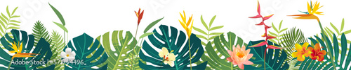 Vector Hawaiian Balinese rainforest summer lush jungle exotic leaves square banner lower border. Aloha summer monstera wedding greeting card, invitation design. Exotic tropical plants postcard