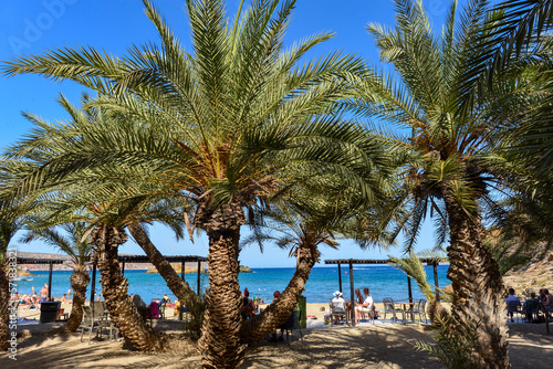 Palmenstrand von Vai an der Ostküste der griechischen Mittelmeerinsel Kreta