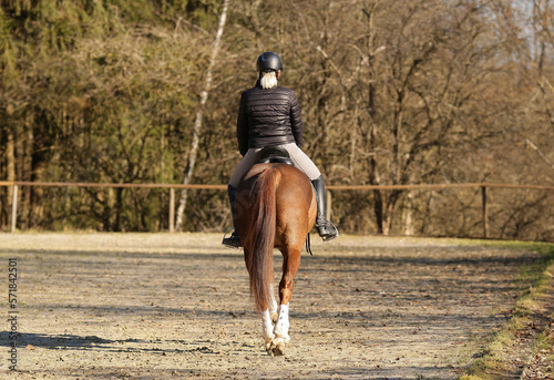 Horse with rider on the riding arena stepping, photographed from behind..