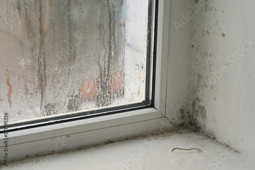 a white wall near the window with black mold.