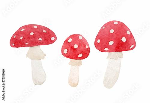 Beautiful set with watercolor hand drawn fly agaric mushroom. Stock illustration.