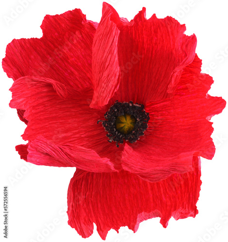Isolated single poppy paper flower made from crepe paper