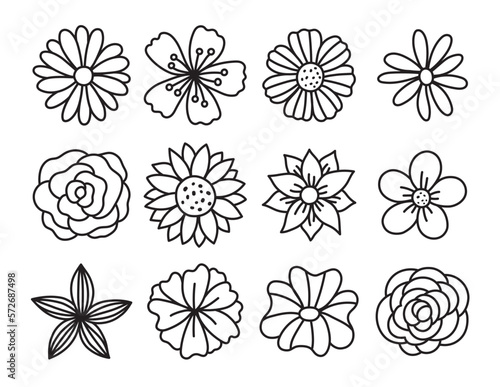 Single flower doodles drawing vector illustration. Spring flower outline set including a rose, sunflower daisy, hibiscus, peony, camellia, morning glory, etc.