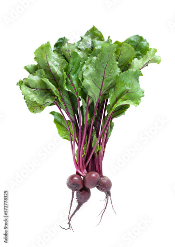 BOTWINKA Young beetroot with fresh leaves isolated on transparent png