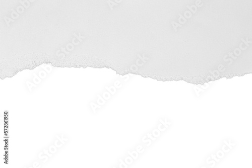 Torn white paper with shadow. Isolated