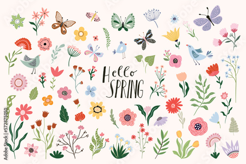 Hello Spring big collection with a variety of plants, flowers in bloom, butterflies, leaves and birds, seasonal design 