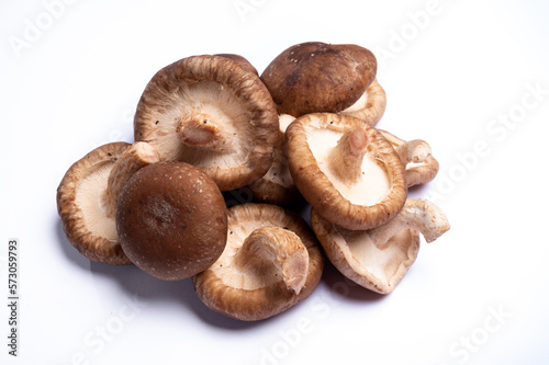 Fresh brown Lentinula edodes or shiitake edible mushrooms isolated on white background