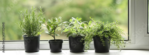 Pots with fresh aromatic herbs on windowsill at home