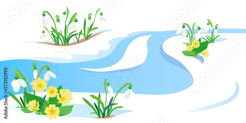 Spring meltwater flow and the first flowers sprouting through the snow. Yellow primroses and white snowdrops. The concept of the arrival of spring and the awakening of nature after winter. Vector illu